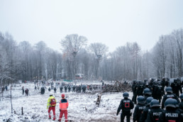 Forrest in Winter, Police, Clima Activist, Tree Houses