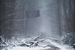 Forrest, Foggy, Anarchy flag